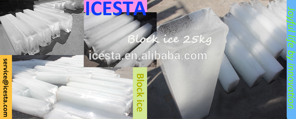 ICESTA 15T Heavy-Duty Block Ice Makers (IB15T-R2W)